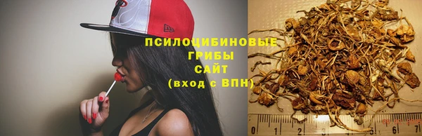крисы Абинск