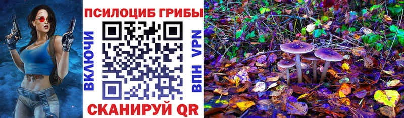 Псилоцибиновые грибы ЛСД  Шенкурск 